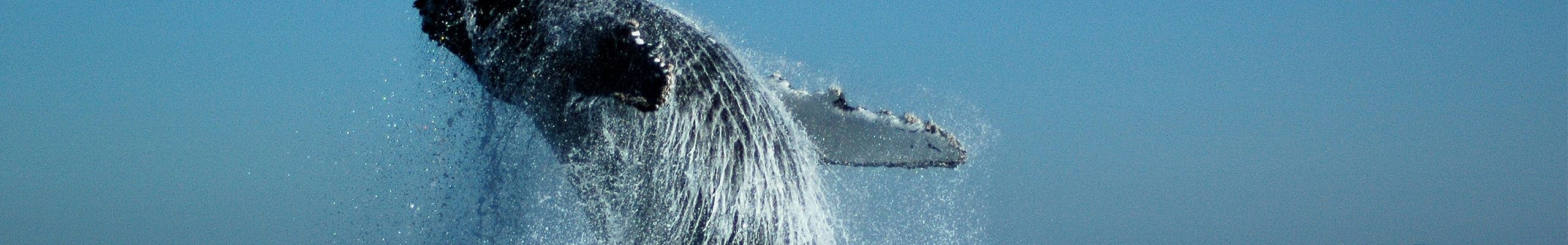 Do we need a reservation?