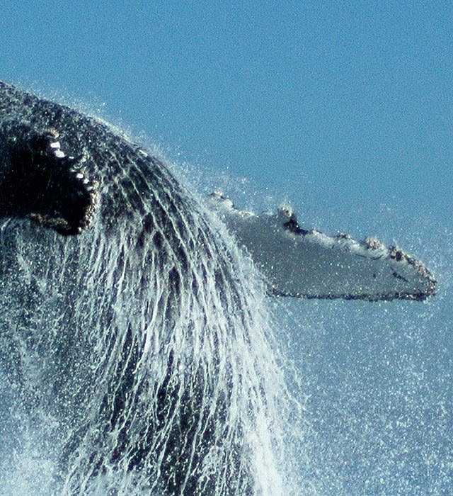 Do we need a reservation?