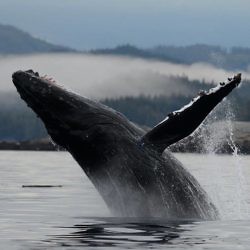2019-10-27,  at Ocean Ecoventures