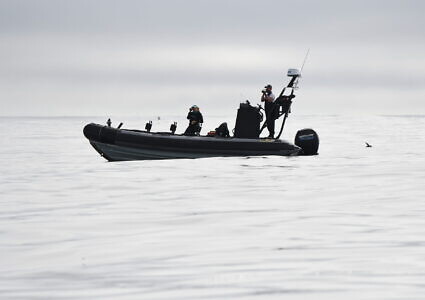 Cowichan Bay Half Day Whale & Wildlife Private Charter