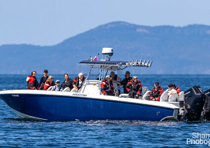 Cowichan Bay Half Day Whale & Wildlife Private Charter